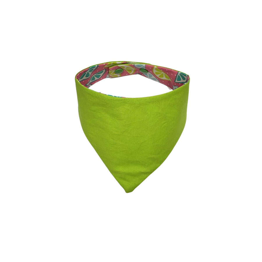 Lime green reverse side of summer colors fruit slices dog bandana with snaps. - Life Has Just Begun