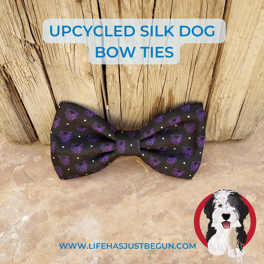 Purple and Black dog bow tie recycled from a silk necktie.  Two sizes available.  Attaches over the collar with hook and loop closure. - Life Has Just Begun