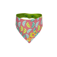 Pink background with multicolor fruit slices custom embroidered reversible dog bandana with snaps.- Life Has Just Begun