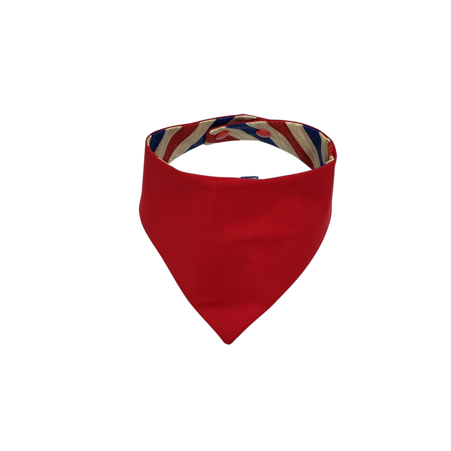 Red reverse side of red and blue striped dog bandana. - Life Has Just Begun