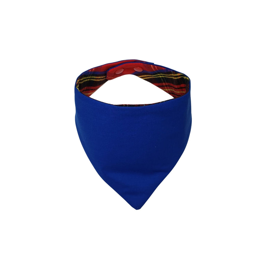 Royal Blue cotton blend dog bandana - Life Has Just Begun